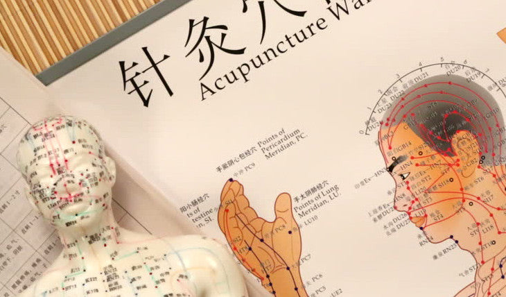 Energy Meridian Performance [Steve McGregor, Biomeridian Practitioner]