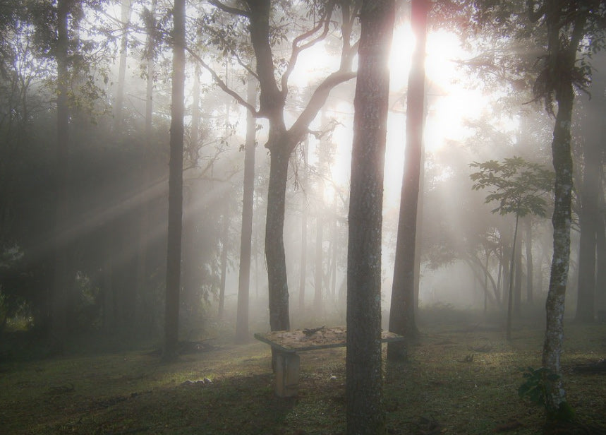 Chris Garvey - Q-Link Customer ["...This pendant is a very happy life tool, enhancing my focus and energy..."]