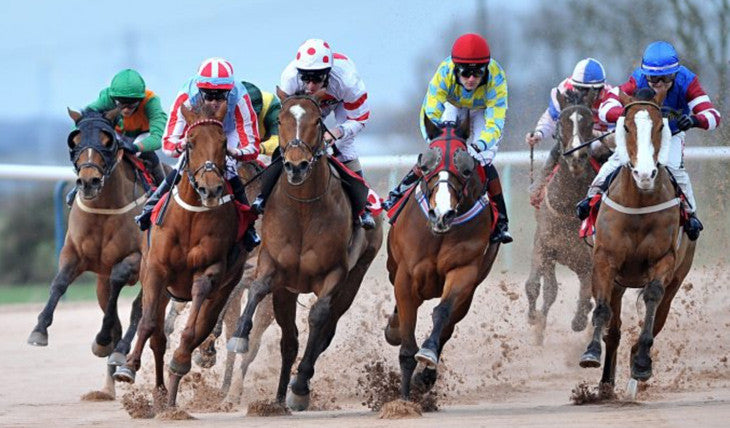 Anaylsis of SRT on the Stress Response in Elite Race Horses [Christopher Manton, Nutritional Biochemist]