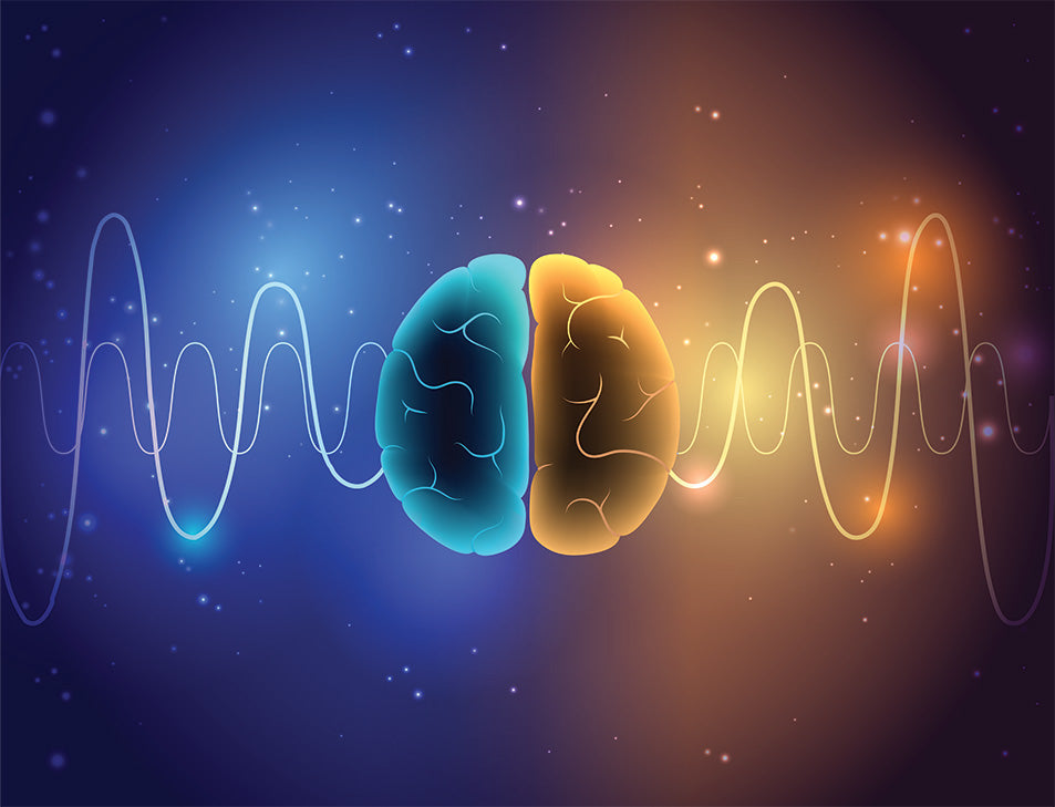 Erin H. ["...It's like both sides of my brain are more integrated and balanced. I love my Q-Link."]