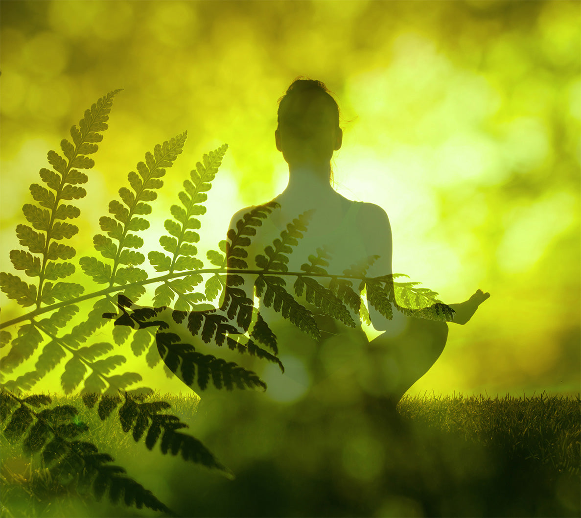 Gina Pizzirusso ["...I notice that it balances my energy levels throughout the day and gives me energy and stamina...."]