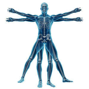 Dr. Joseph Angleitner D.C., DIBAK ["...I've never seen these excellent benefits with a product before."]
