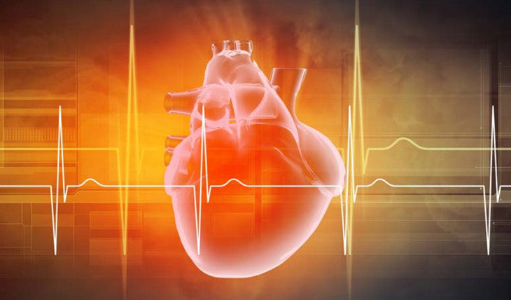 Evaluation of the Effects of Q-Link on Circulation and the Autonomic Nervous System [Moser - Joanneum Research Institute]