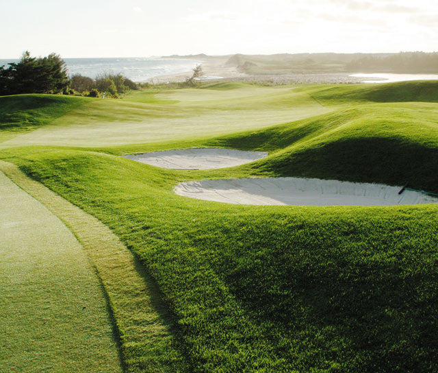 Dave T. ["...I was calmer and less frustrated on the course."]