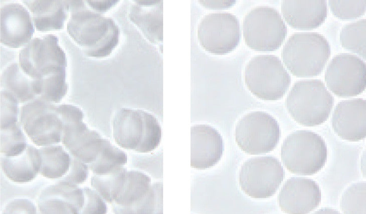 Blood Terrain Improvement [Young, PhD, DSc, Microbiologist]