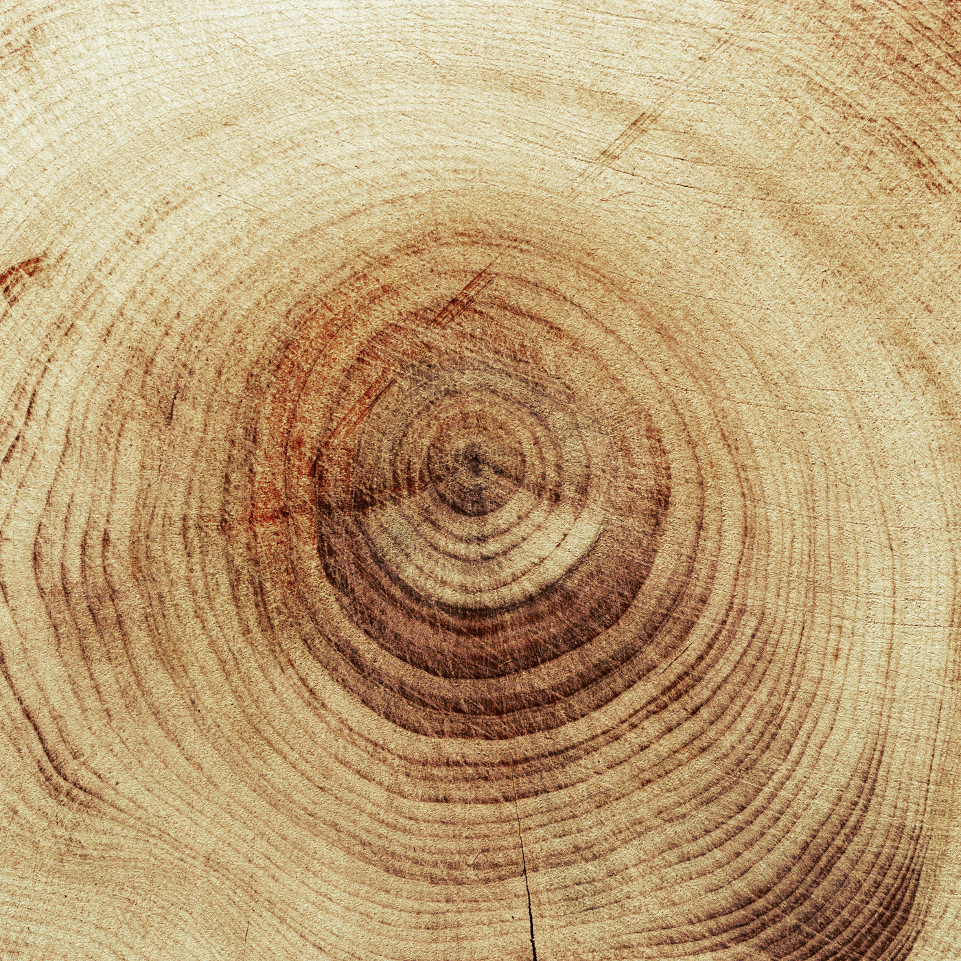 Editorial detail image