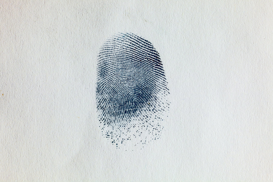 Natural fingerprint pattern imagery for Q-Link resonance technology section