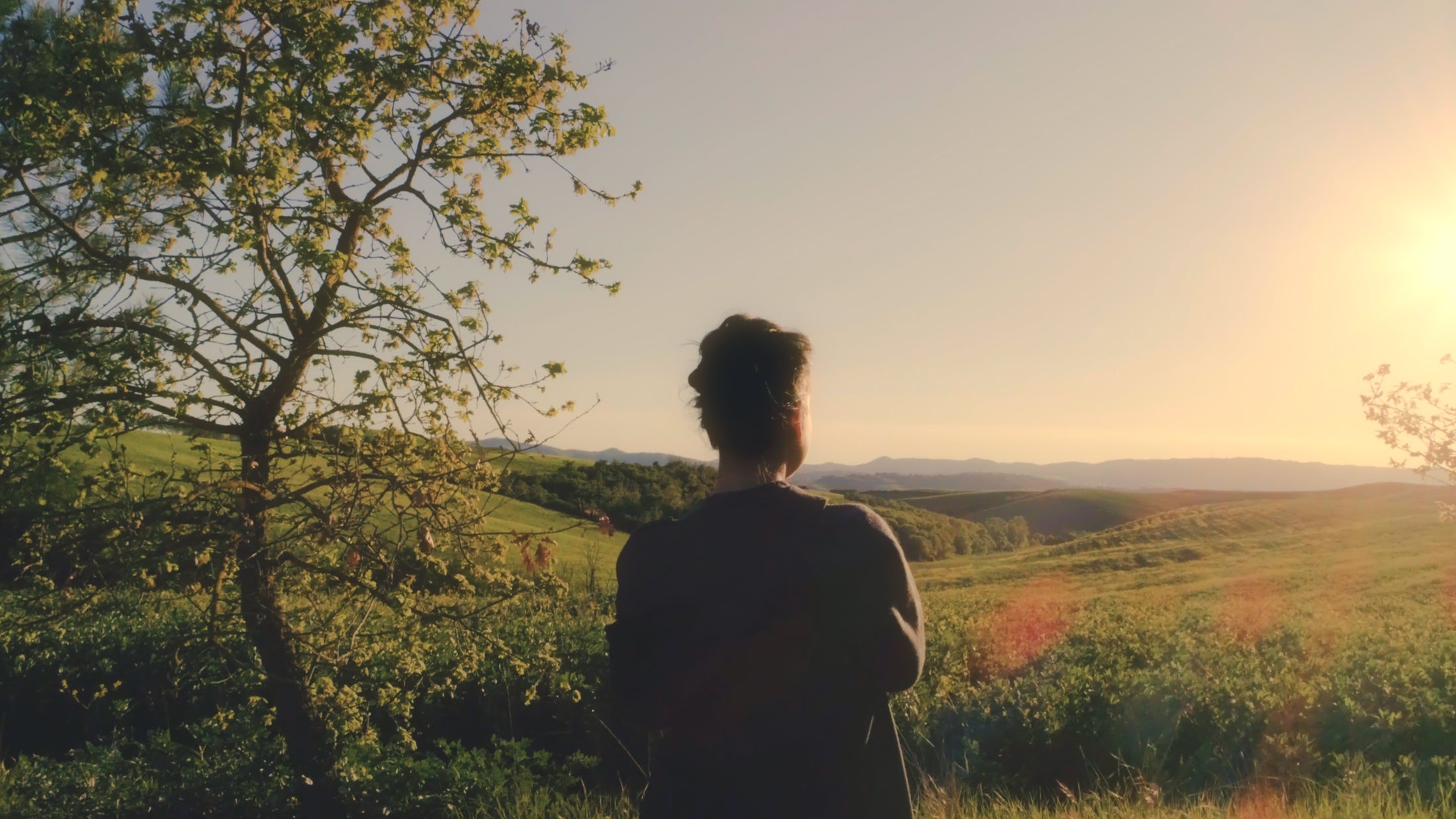 Person overlooking a natural landscape for Q-Link integrity and human-centered values