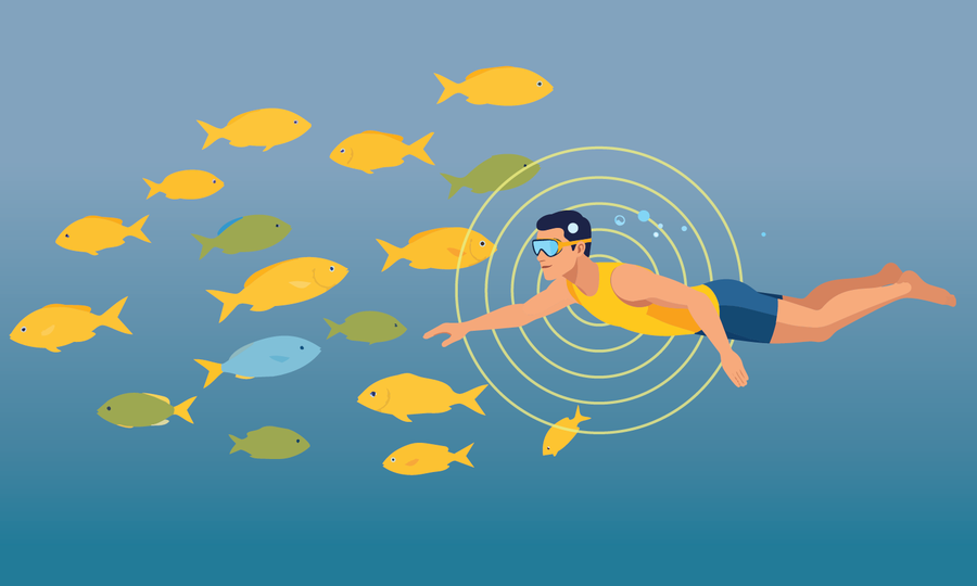 Molchanova & Lukova: Free-Diving Performance Study