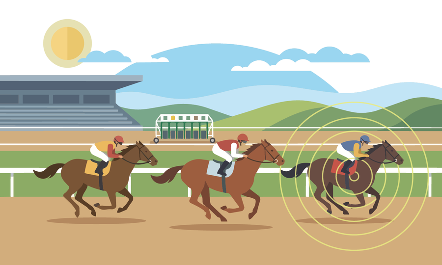Manton: Elite Racehorse Animal Study